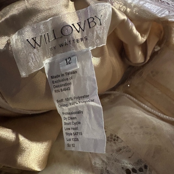 Chic Cream Lace Bridal Gown - Picture 4 of 4